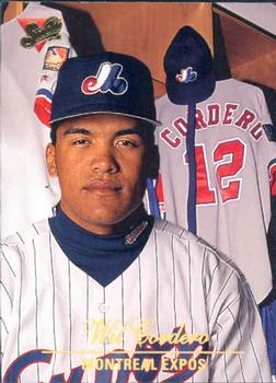 montreal expos 2003