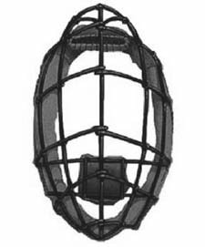 Thayer mask, 1876 Thayer mask, 1876