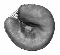 Pillow mitt, 1920s