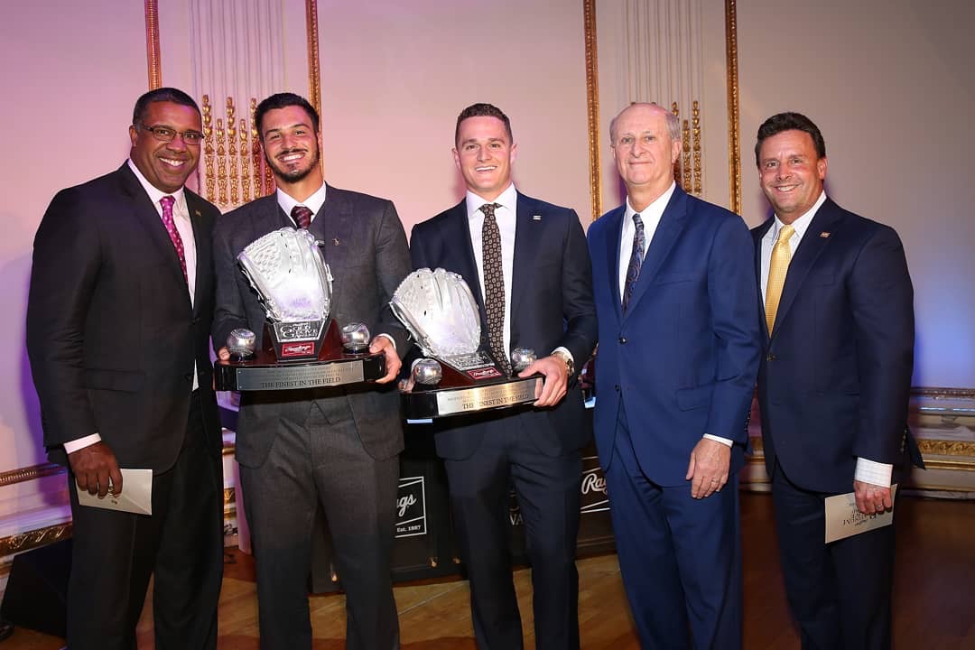 Rawlings Platinum Glove Award, Learn & See The Winners