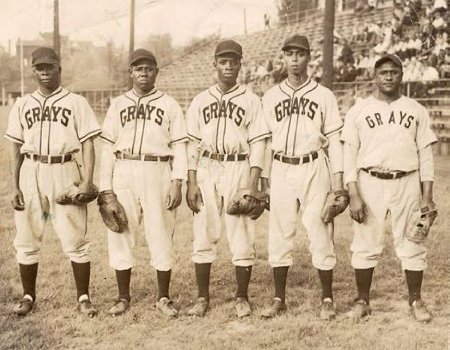 Junior Travel Baseball : D.C. Grays RBI