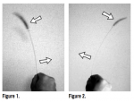 Proper Batting Mechanics to Avoid Hip Injuries in Baseball