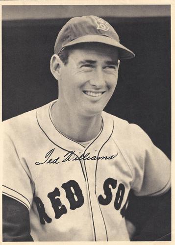 The Life and Turmoils of Ted Williams Hitter 