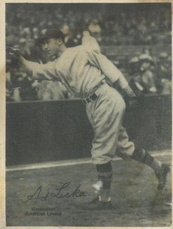 Minneapolis Millers Team Photo 1929