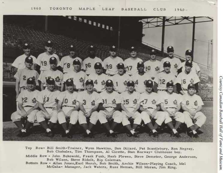 1958 Toronto Maple Leafs Baseball Ticket Stub Vintage International Le – Glory Days Sports